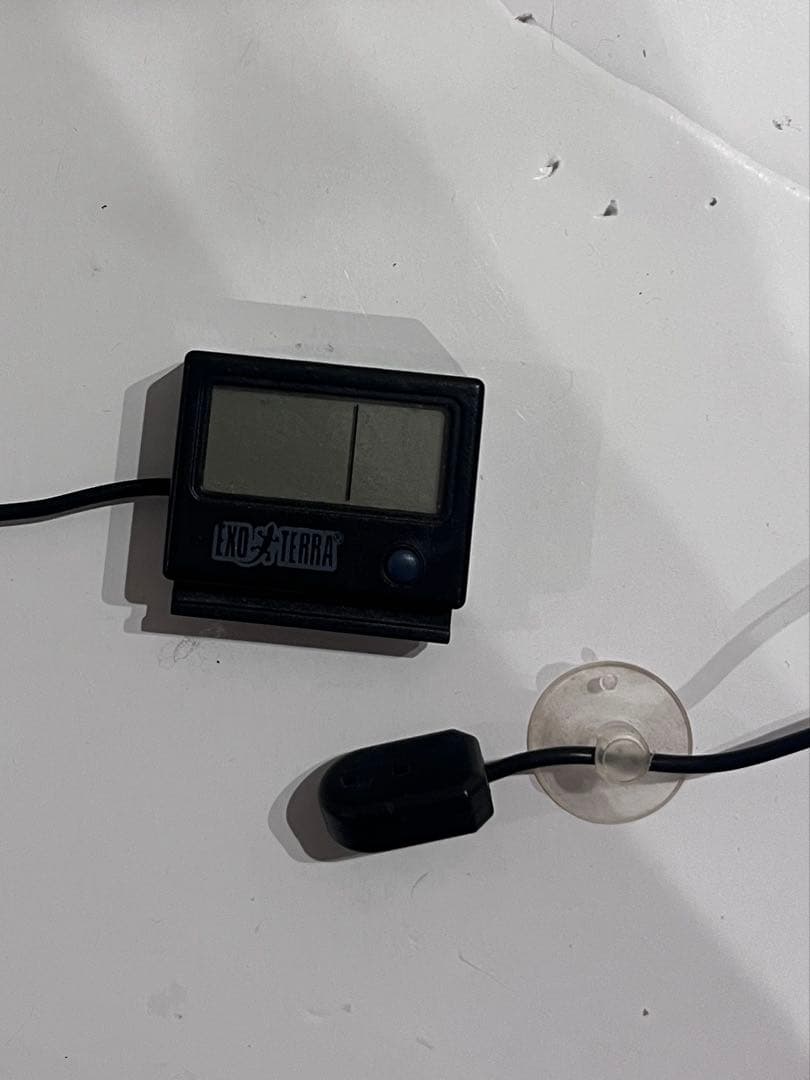 グラステラリウム3030 セット 爬虫類