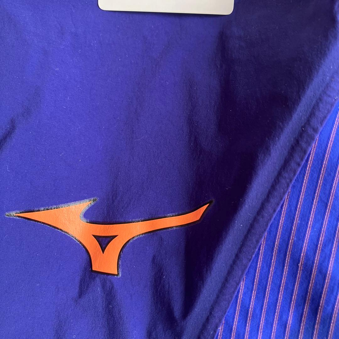 ☆はにはに☆　ミズノ　競泳水着