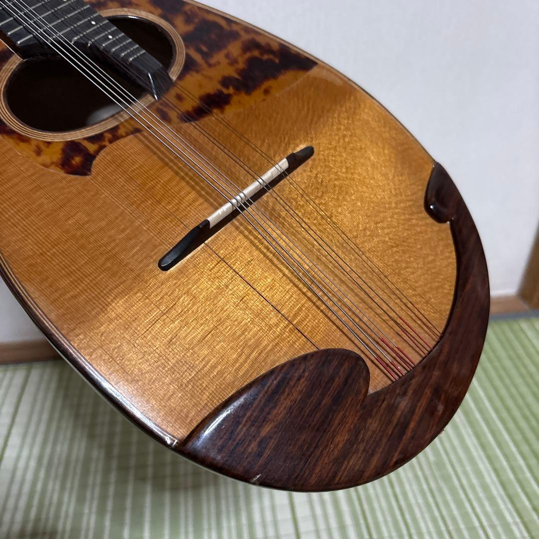 Raffaele 寺田楽器製 ハイエンド マンドリン RM-3 弦　ギター