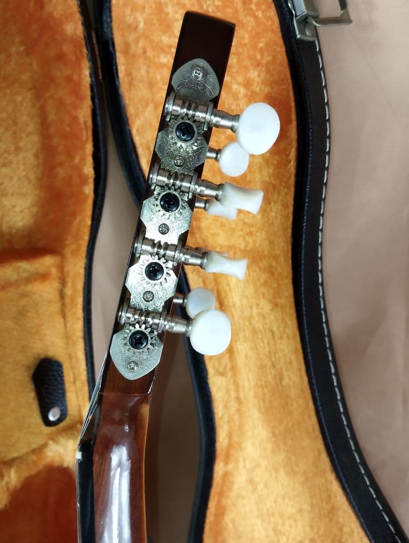 【美品】SUZUKI M-30マンドリン 8弦 ハードケース付き