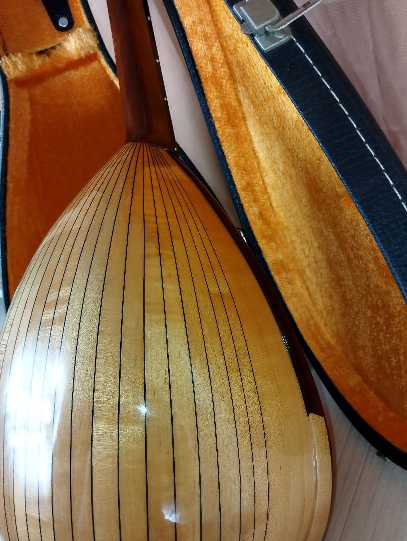 【美品】SUZUKI M-30マンドリン 8弦 ハードケース付き