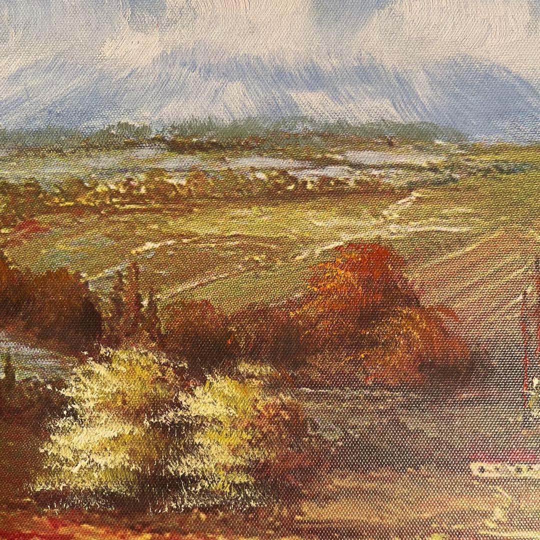 キャンパスプリントアート アネモネ畑 額付き インテリア 油彩画