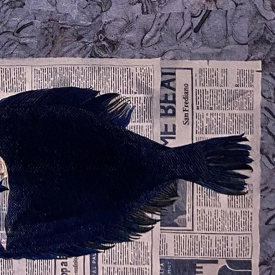 坂本幸重、【文字の上で】、希少な額装用画集より、新品額装付、状態良好