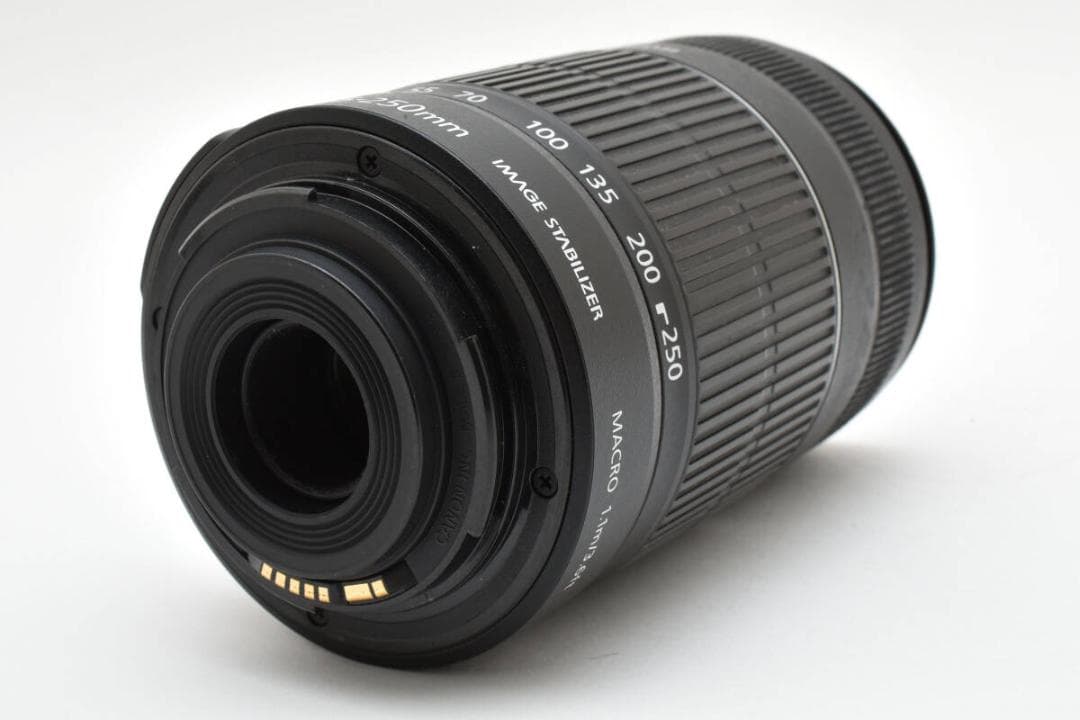 Canon　EF-S 55-250mm F4-5.6 IS II #1290