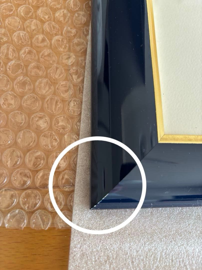 Seiji Fujishiro レフグラフ　サイン入り【線香花火】　藤城清治