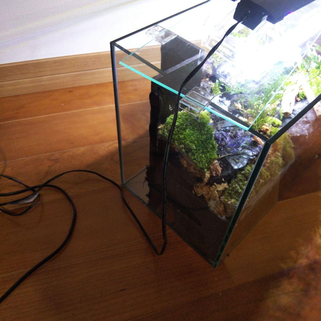 【受注生産】滝のあるアクアテラリウム　イモリウム　苔テラリウム　テラリウム