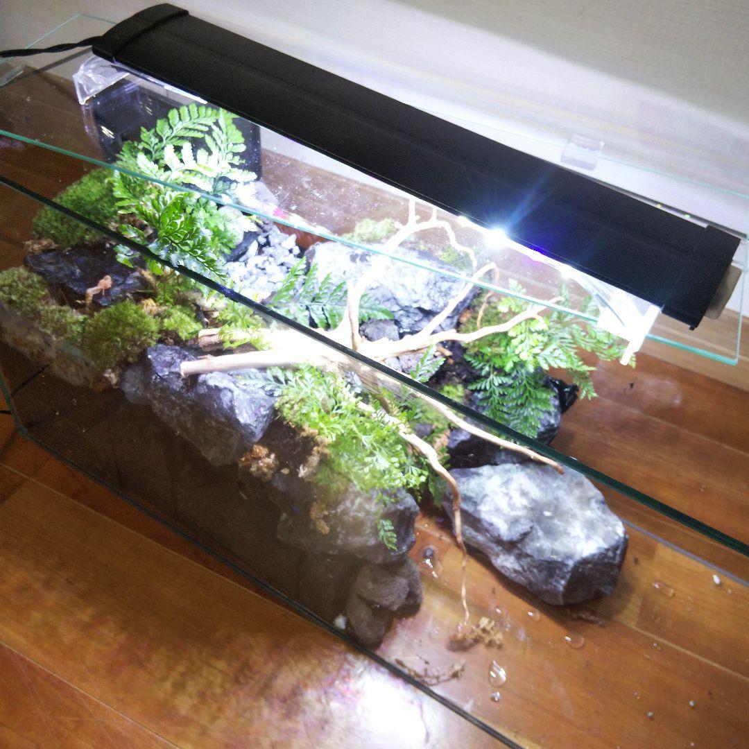 【受注生産】滝のあるアクアテラリウム　イモリウム　苔テラリウム　テラリウム