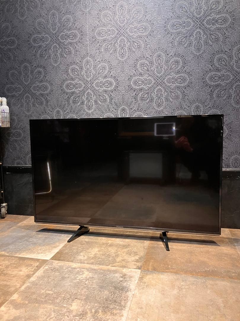 Panasonic パナソニック 49型TV TH-49EX600 並品