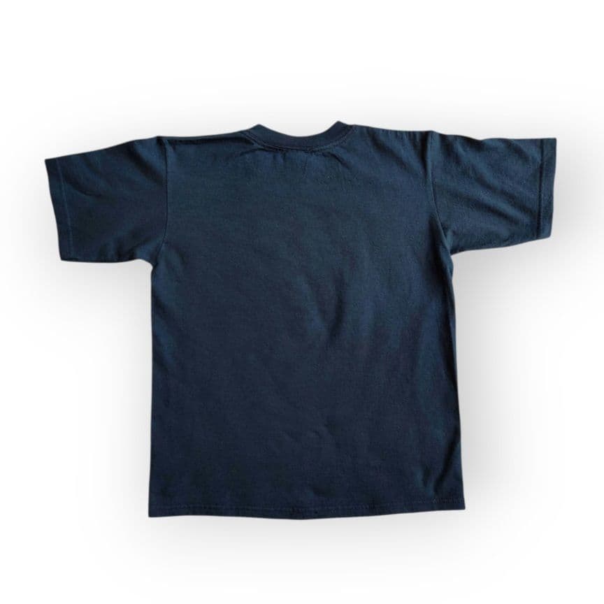 ホール&オーツ ManEater ジャパンツアー 公式 バンドT ヴィンテージ