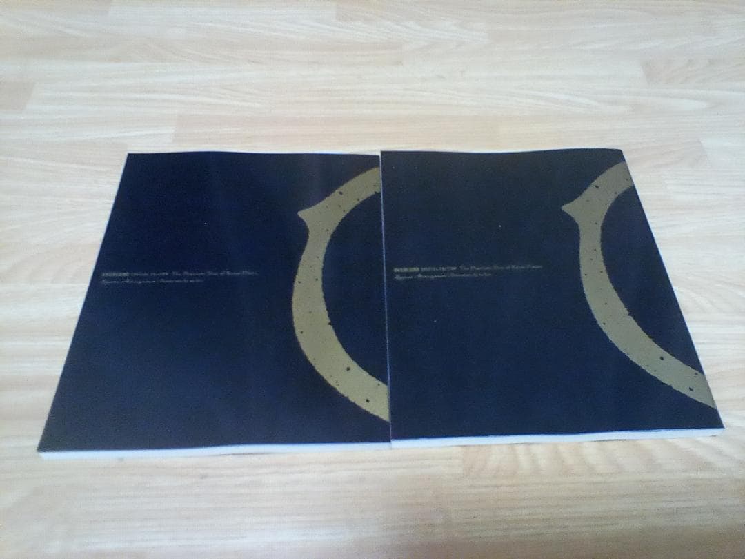 【特典小説2冊付き】劇場版オーバーロード 聖王国編クリアファイル 12枚セット