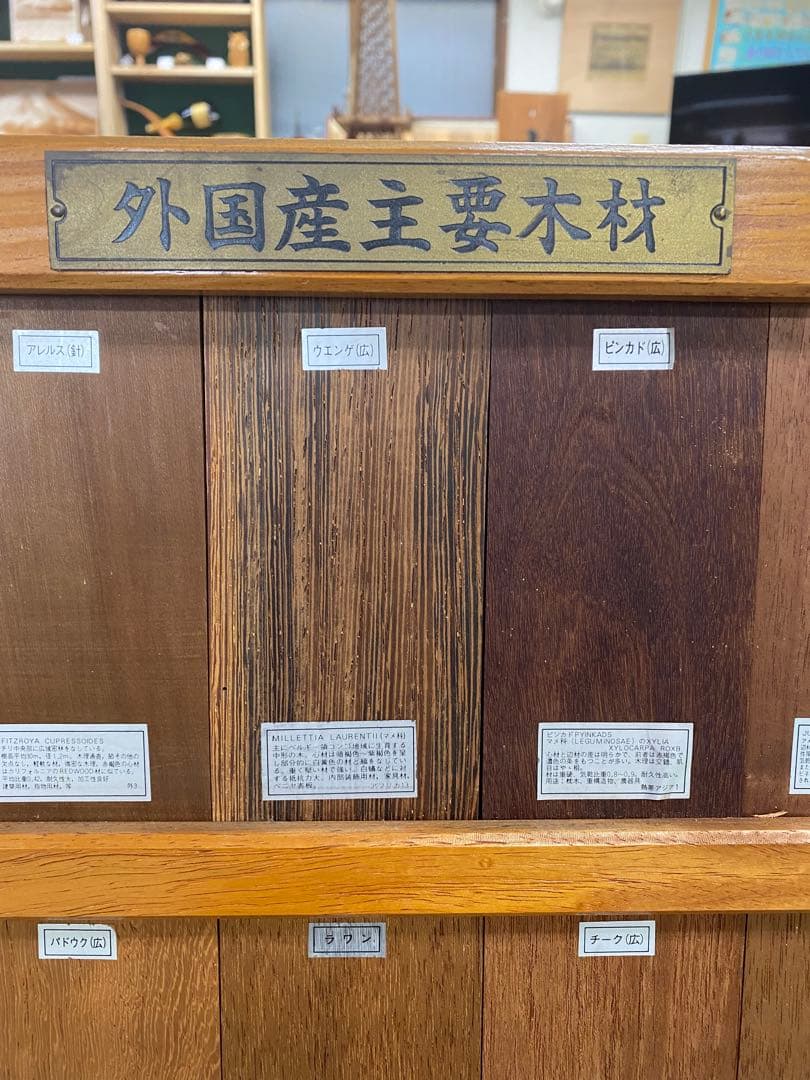 木材標本　3種【日本国産・外国産・熱帯産】