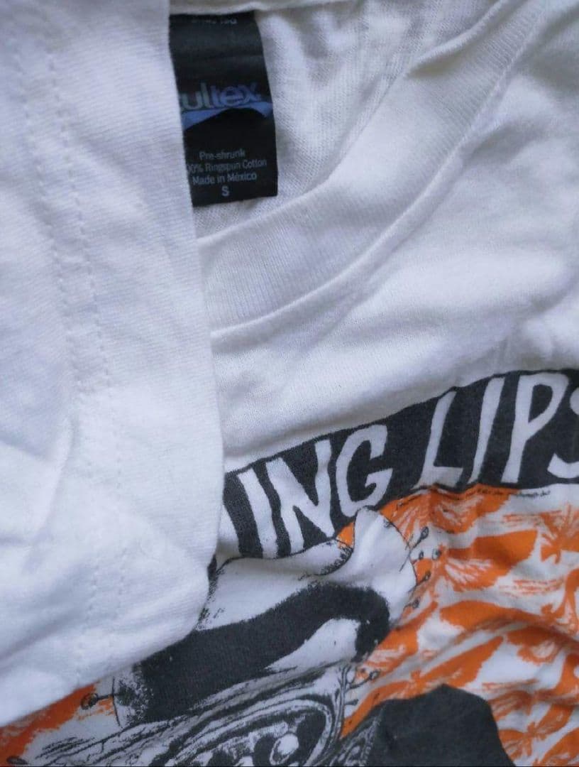 The Flaming Lips 希少公式 初期フレイミングリップス