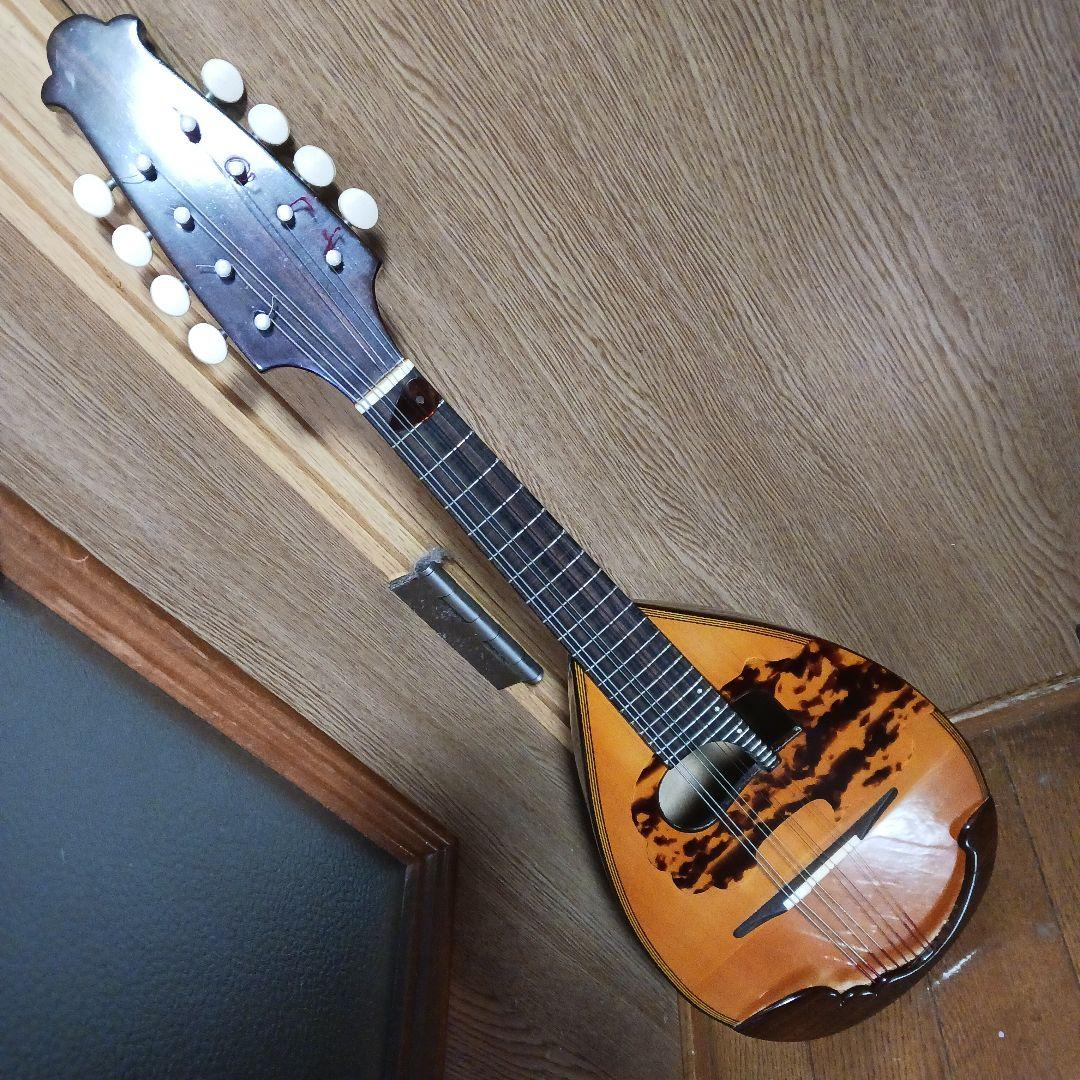 マンドリン＆ハ－ドケース