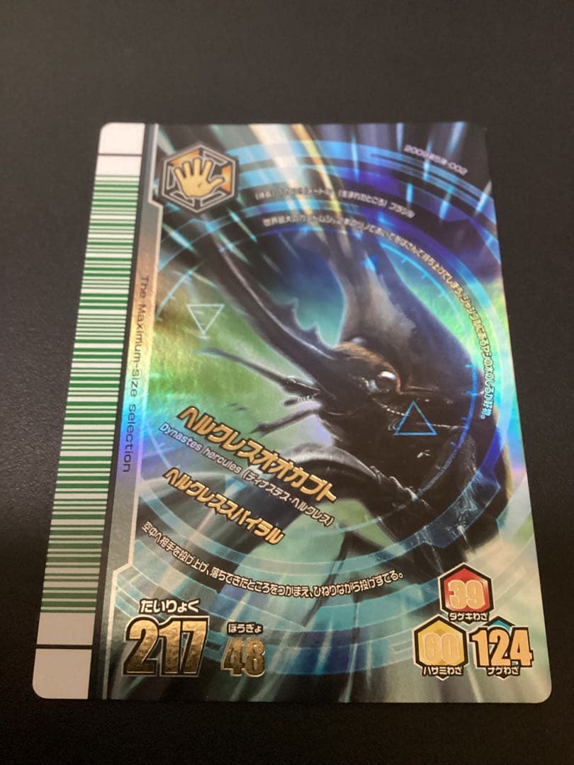 ぷてらす　ヘルクレスオオカブト 他