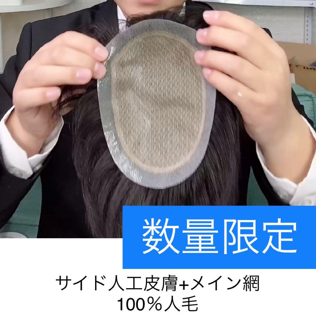 メンズ ウィッグ 男性用 かつら 100%人毛 黑色