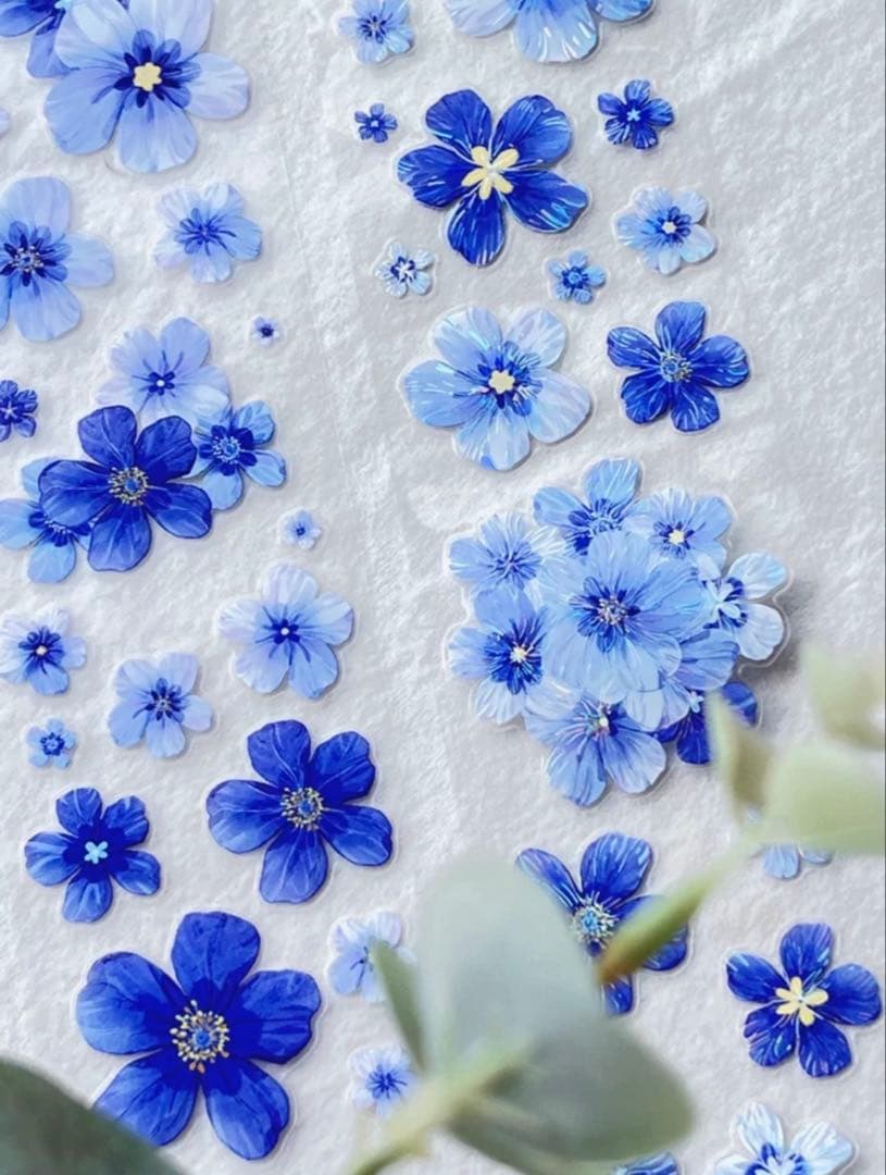 贝壳光 雾蓝 ダイカット加工 6cm×5m 海外マスキングテープ　海外マステ　花