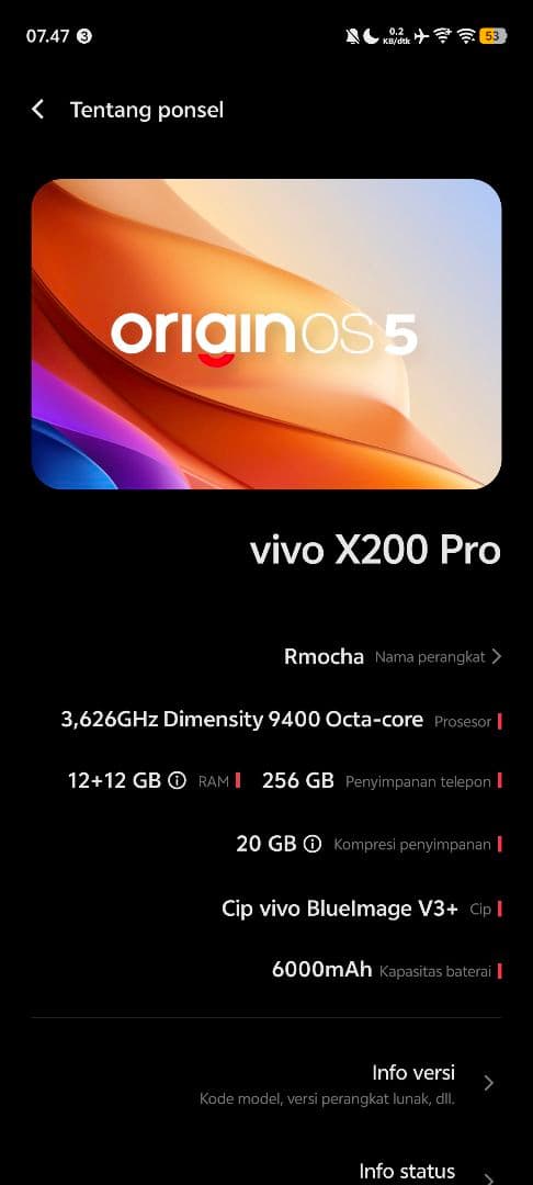 スマートフォン本体 vivo X200 Pro 256GB