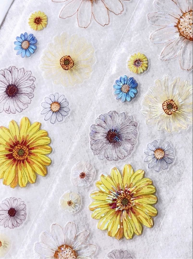 贝壳光 晴昼 ダイカット加工 6cm×5m 海外マステ　マーガレット　花