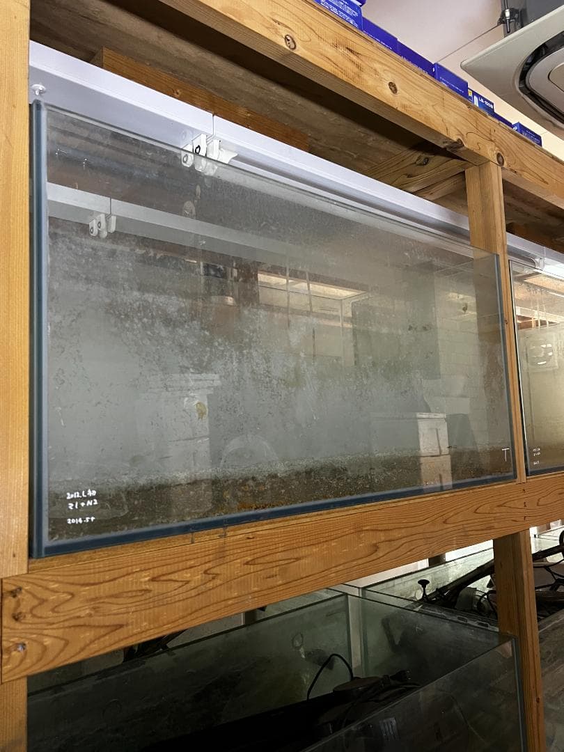 大きめ ガラス水槽 使用済品 中古 汚れあり 引き取り限定(埼玉)