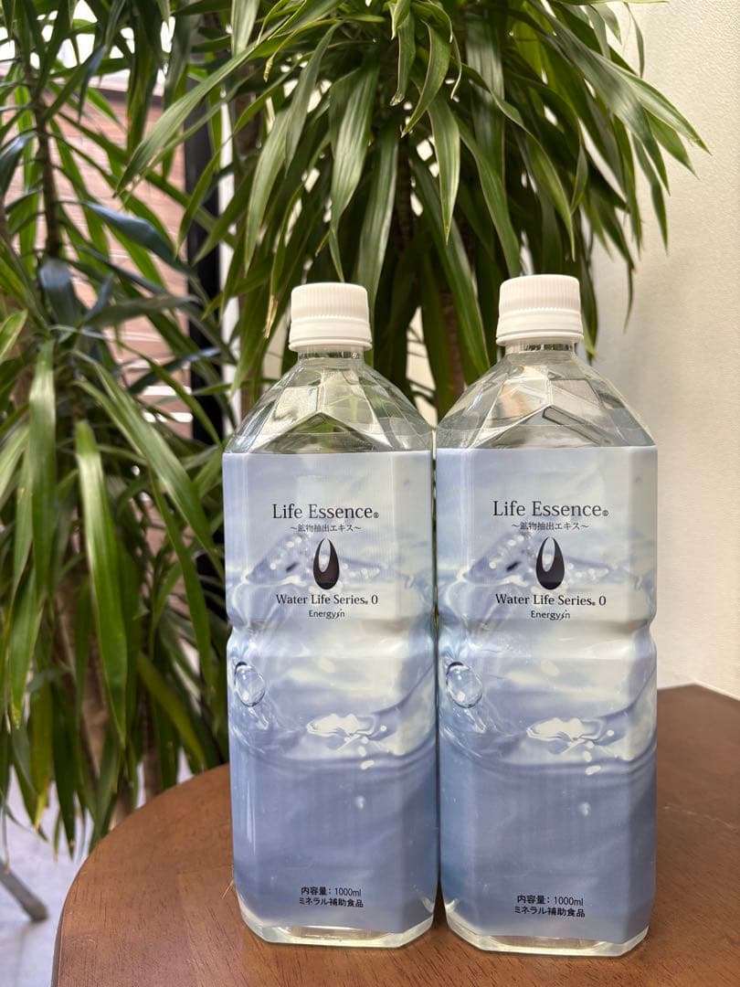 ちゅーりっぷさん専用