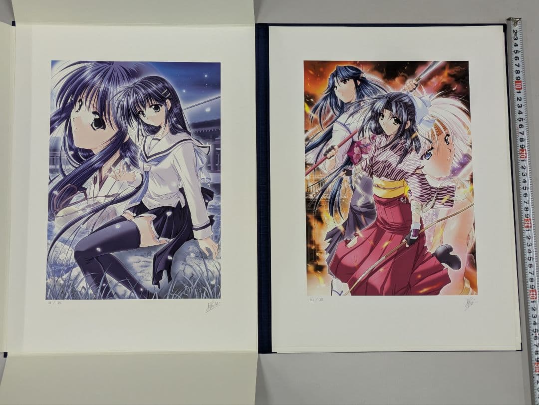 M&Iアート 山本和枝 IZUMO コレクターズエディション