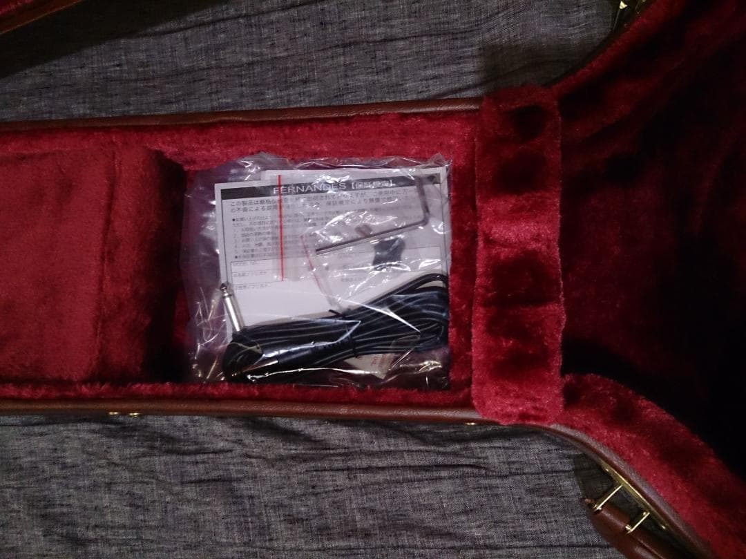 【ハードケース付属】 Burny SRSA65 ES-335タイプ