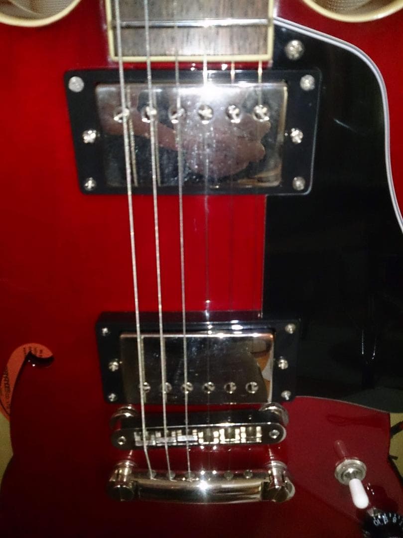 【ハードケース付属】 Burny SRSA65 ES-335タイプ