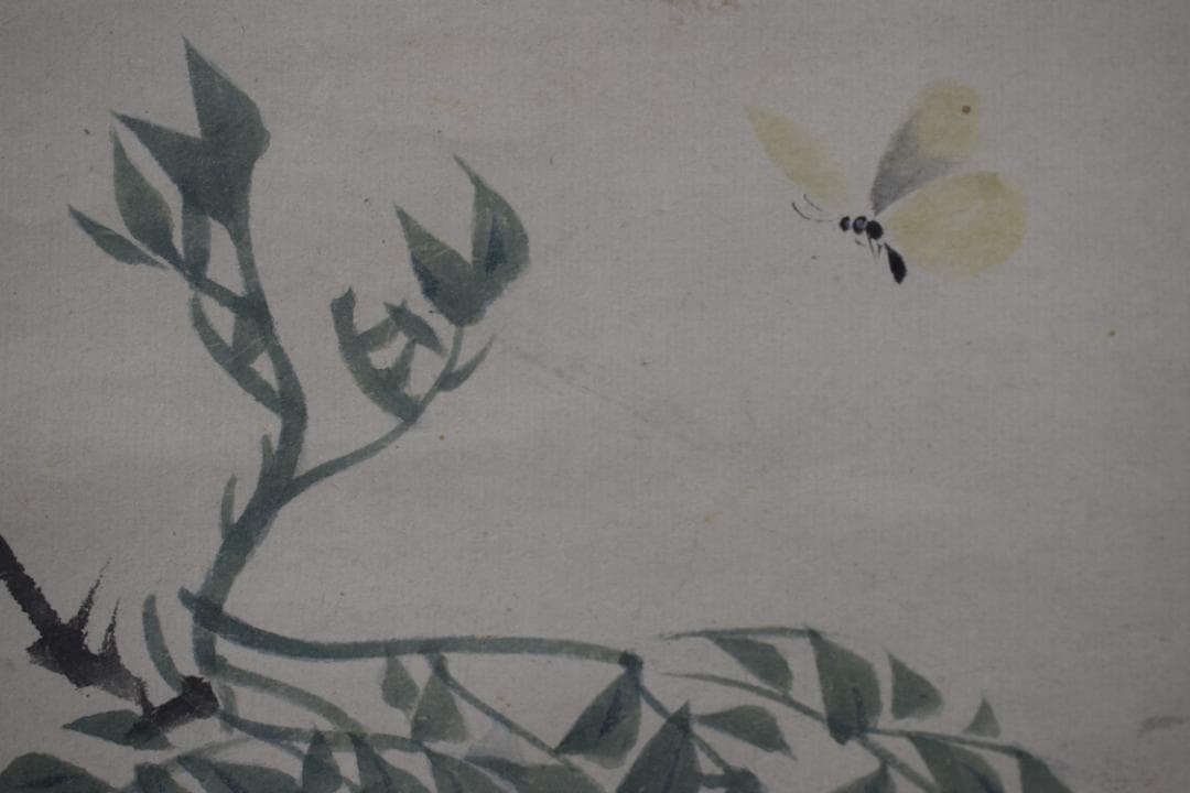 松村景文/蝶之図/花蝶図/掛軸/名家伝来/Z-517