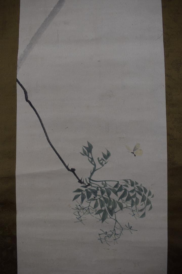 松村景文/蝶之図/花蝶図/掛軸/名家伝来/Z-517