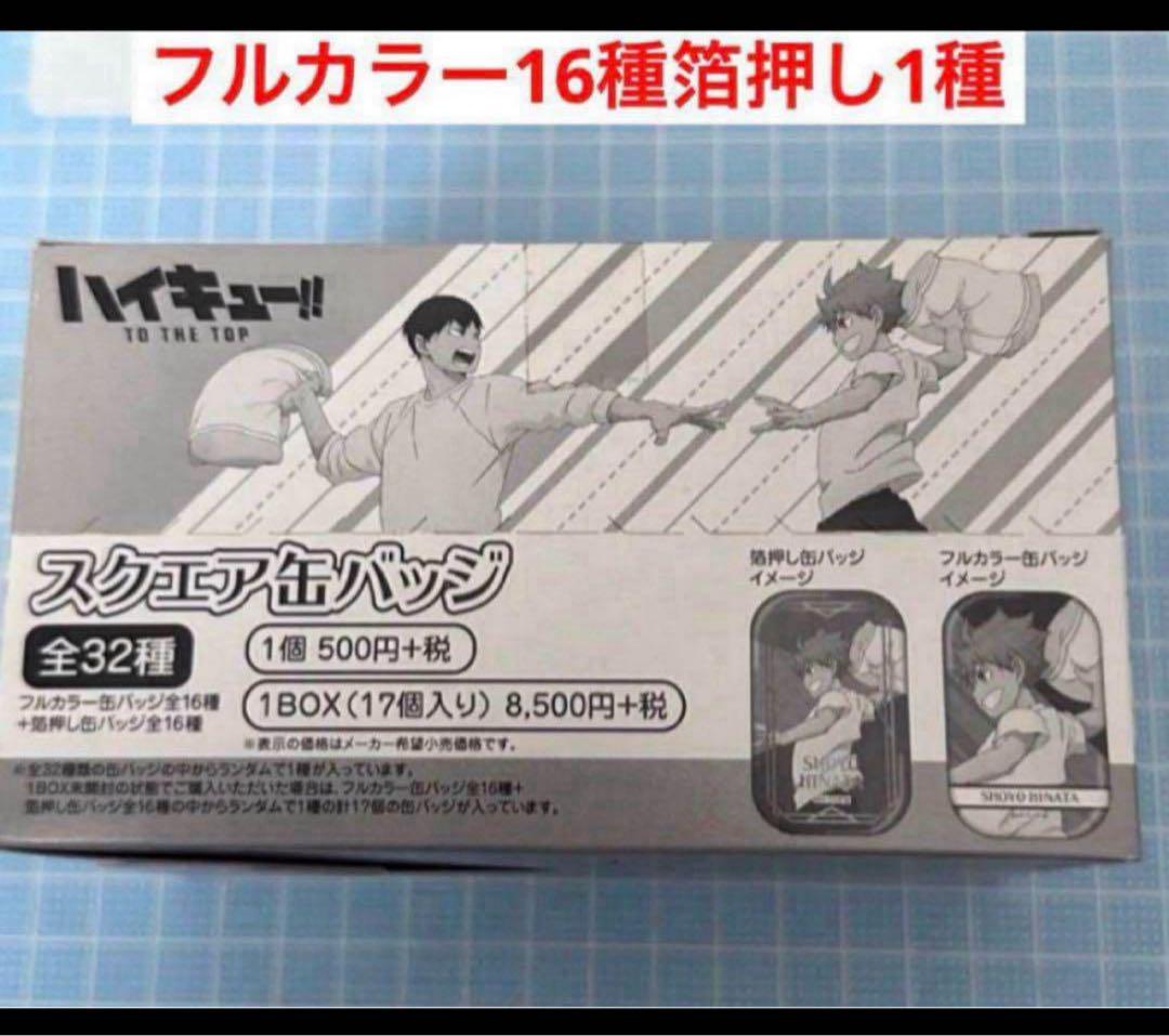 ハイキュー　フルカラー 箔押し　缶バッジ　遠征　ユニフォーム　1BOX wozp