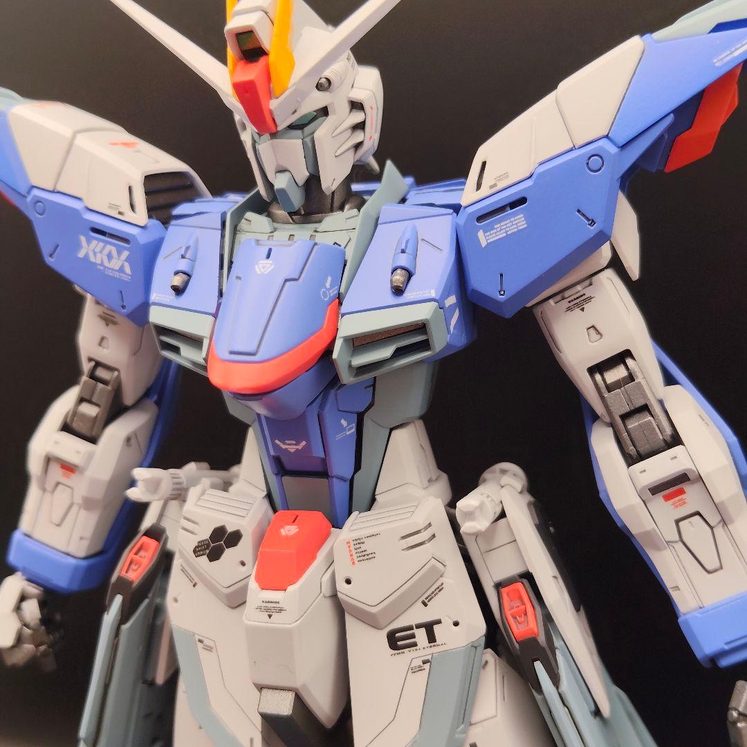 MG（ライジングフリーダム風）フリーダムガンダムver.2.0 全塗装