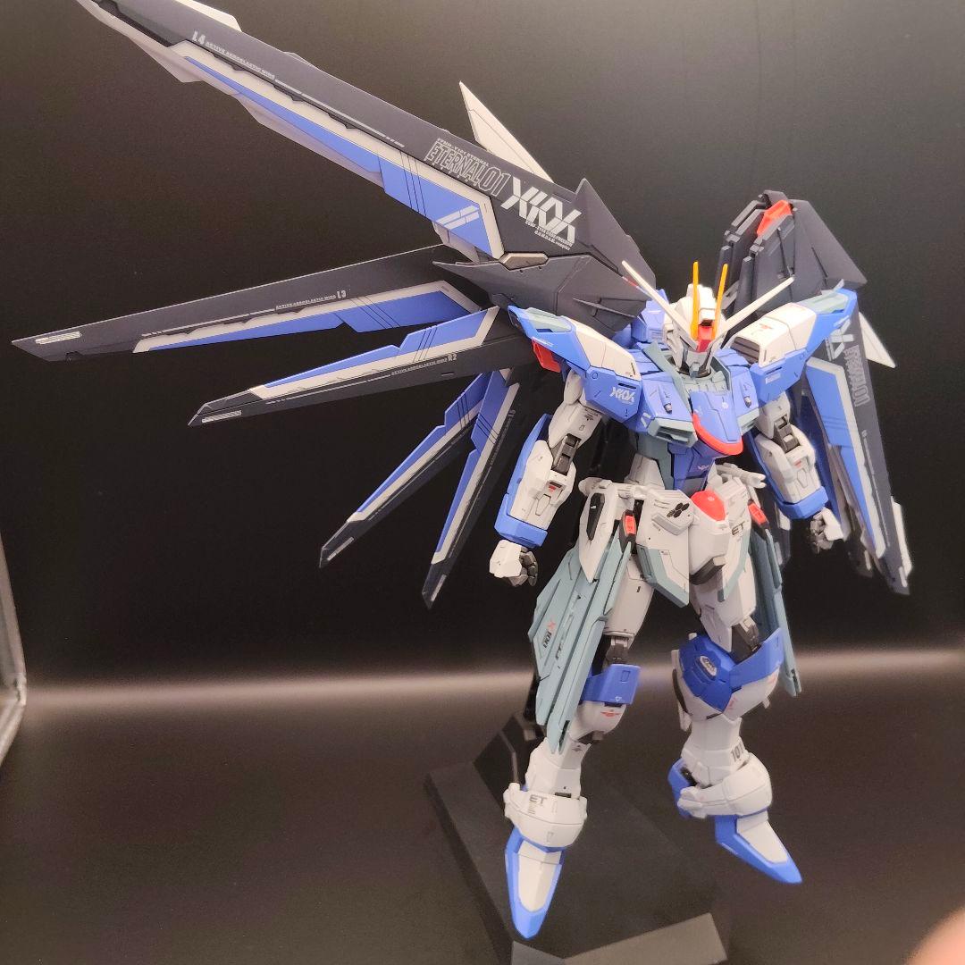 MG（ライジングフリーダム風）フリーダムガンダムver.2.0 全塗装