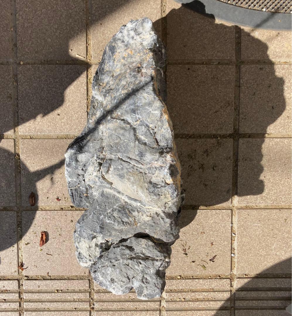 龍王石　ADA アクアリウム　特大　親石　石組レイアウト　水草　水槽