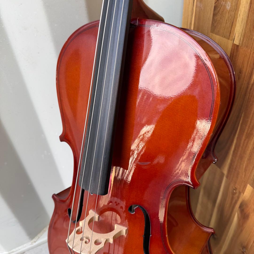 激安早い者勝ち✨ チェロ　Carlo Giordano SC-100