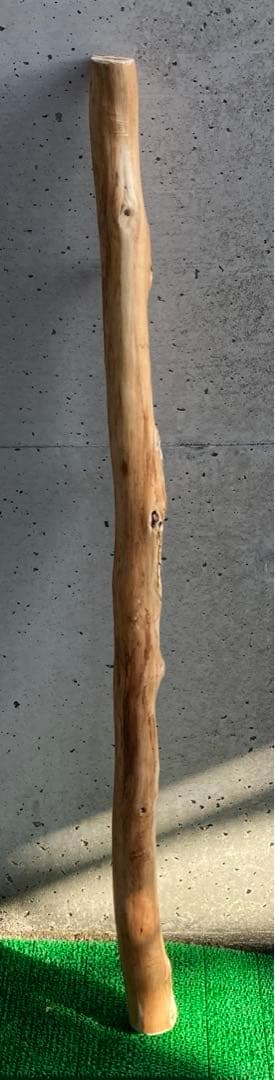 希少　樹齢150〜200年　杉枝　約143cm 鑑賞　庭　インテリア 骨董　華道