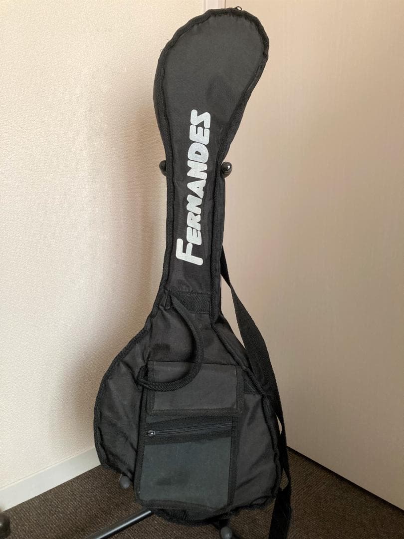 FERNANDES ZO-3　パステルグリーン　専用ソフトケース付き