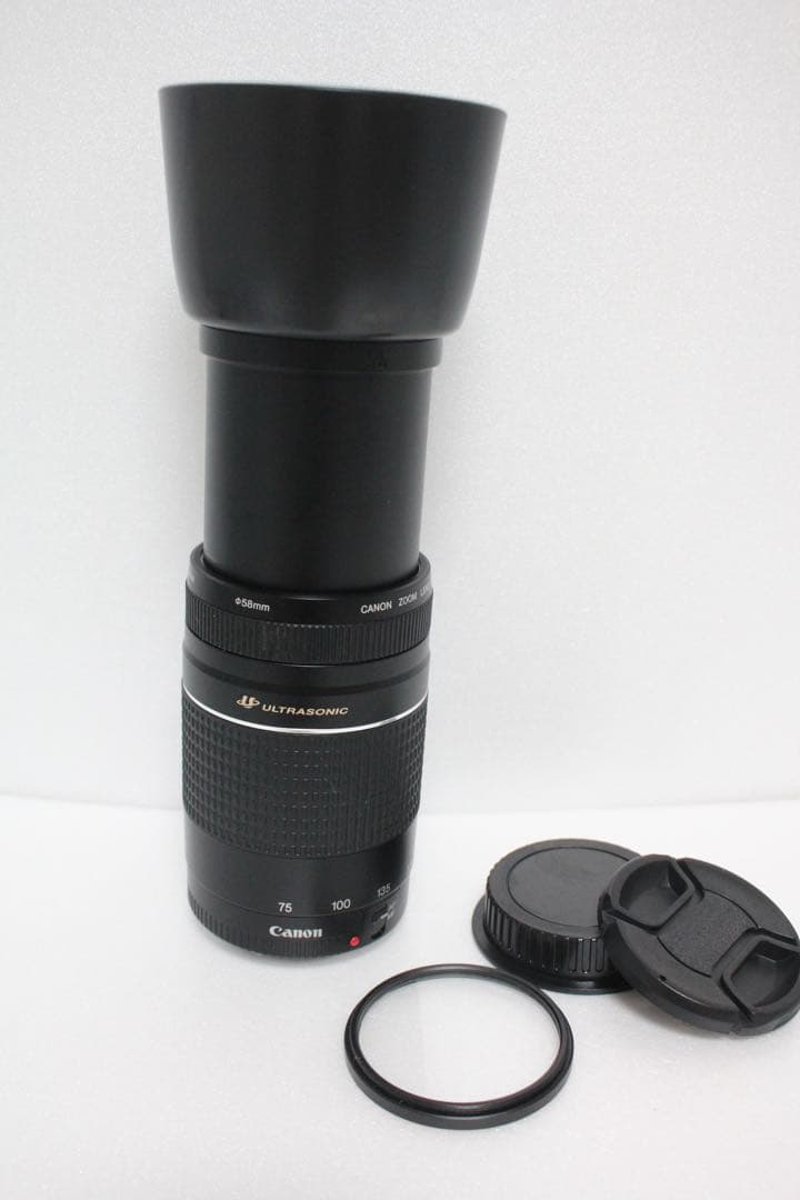極上品/キャノン/迫力の300mm/フード付き/Canon EF75-300