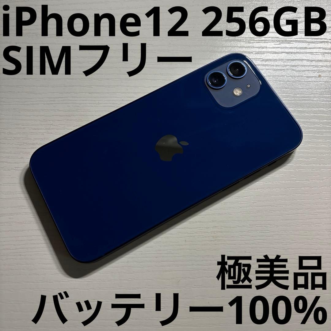 iPhone 12 256GB ブルー SIMフリー 極美品