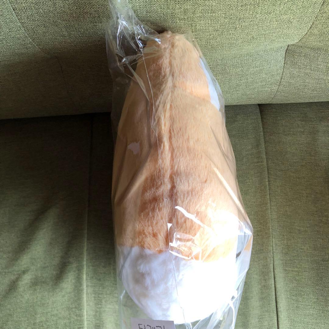 トレギ　フェイスクッション　ベッキョン　フェイス　クッション　公式　MD EXO