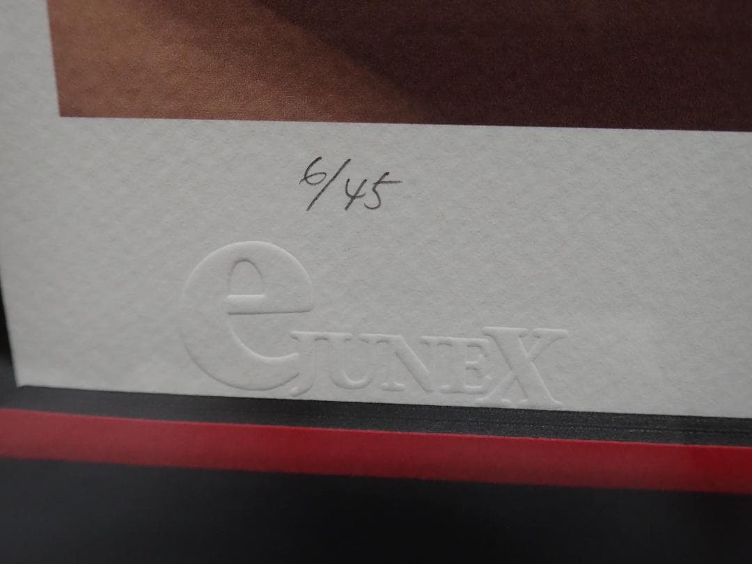 ㉔新品・保証書付 Tony　トニー「ハイカラ」ミクスドメディア アールビバン