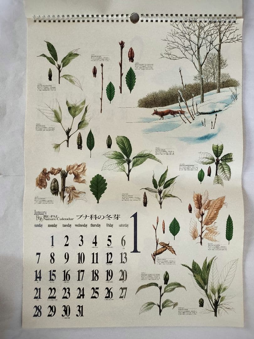 BE-PAL ビーパル カレンダー 新品未使用 1996年　ヴィンテージ