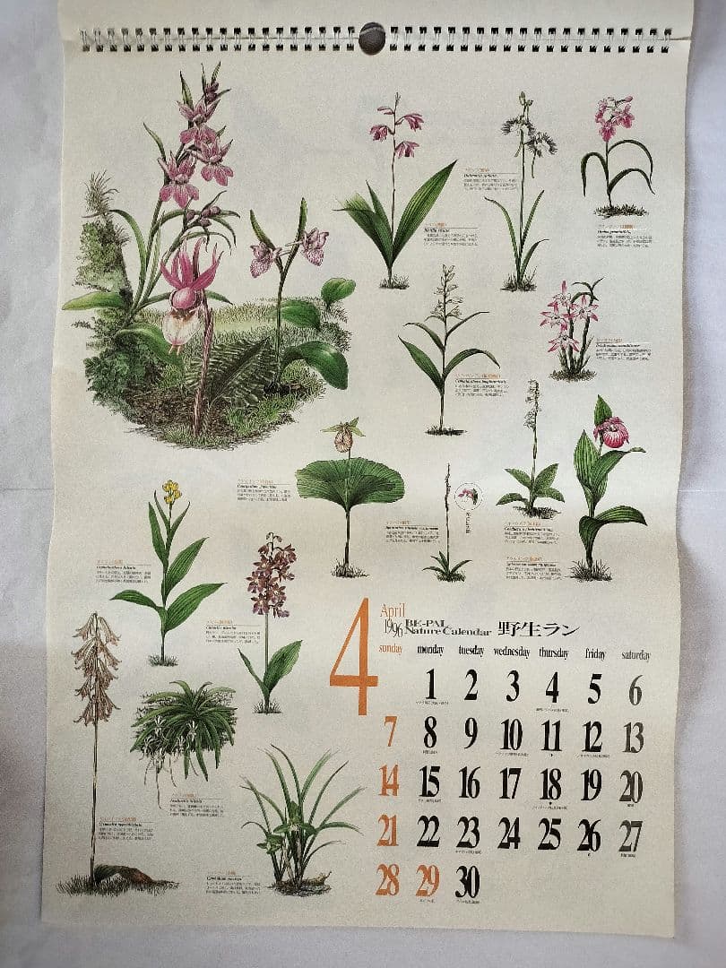 BE-PAL ビーパル カレンダー 新品未使用 1996年　ヴィンテージ