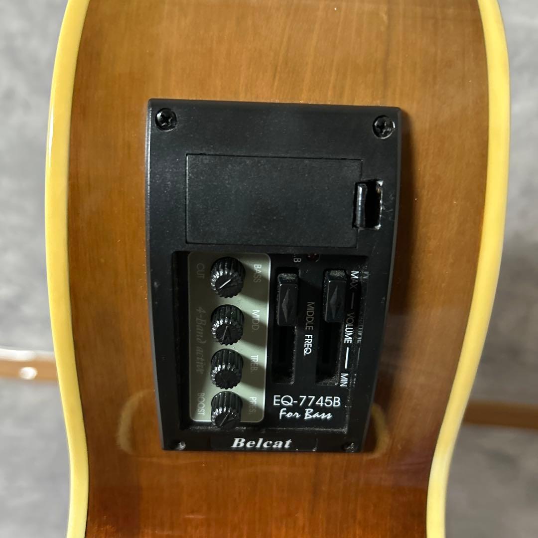 SepiaCrueセピアクルー アコースティックベースギター EAB-430VS