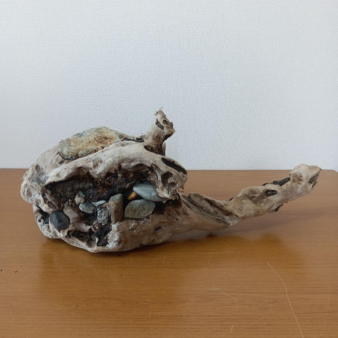 流木　石抱き　NO.95