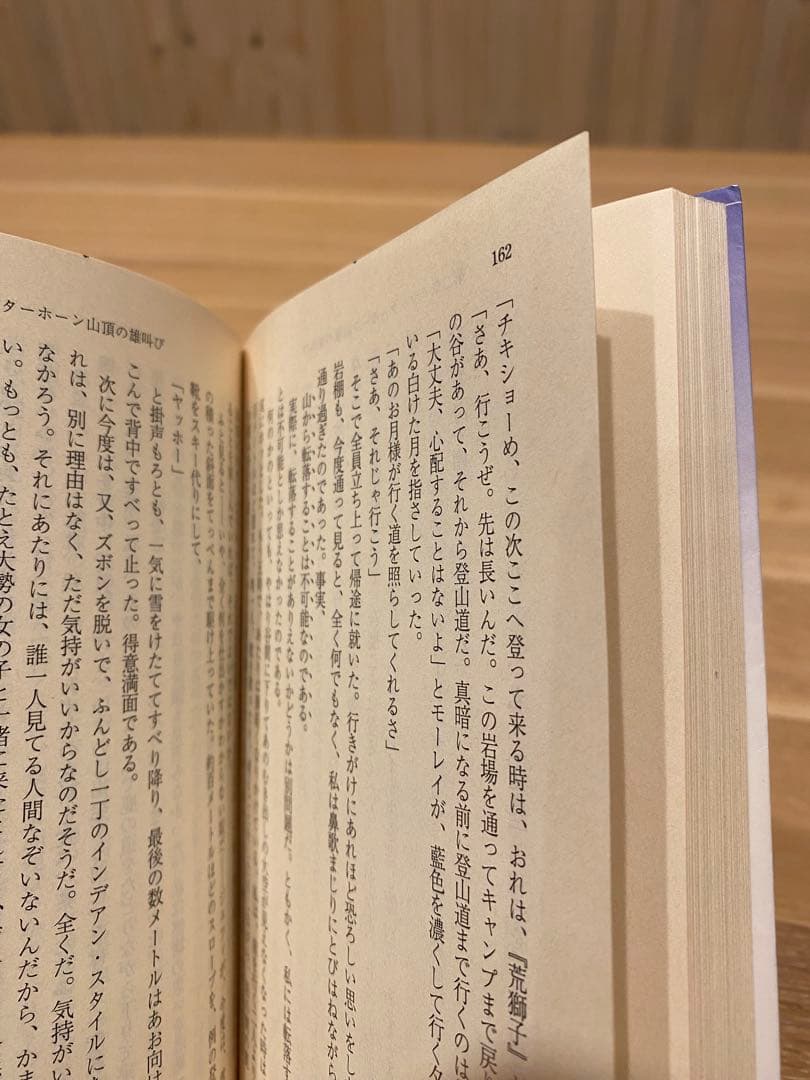 ザ・ダルマ・バムズ ジャック・ケルアック / 中井義幸訳