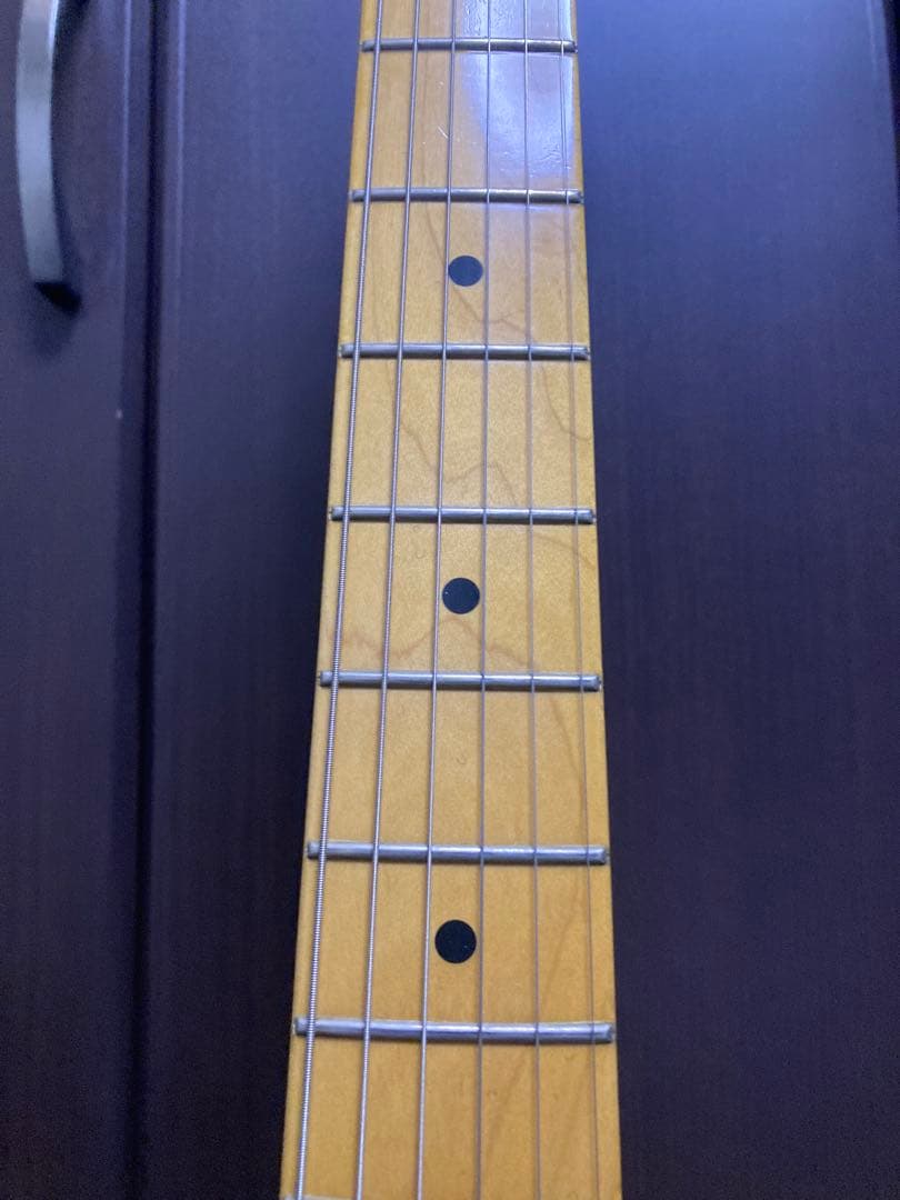 History Z1M-CFS 2TS 厚手専用ケース付き フジゲン製造