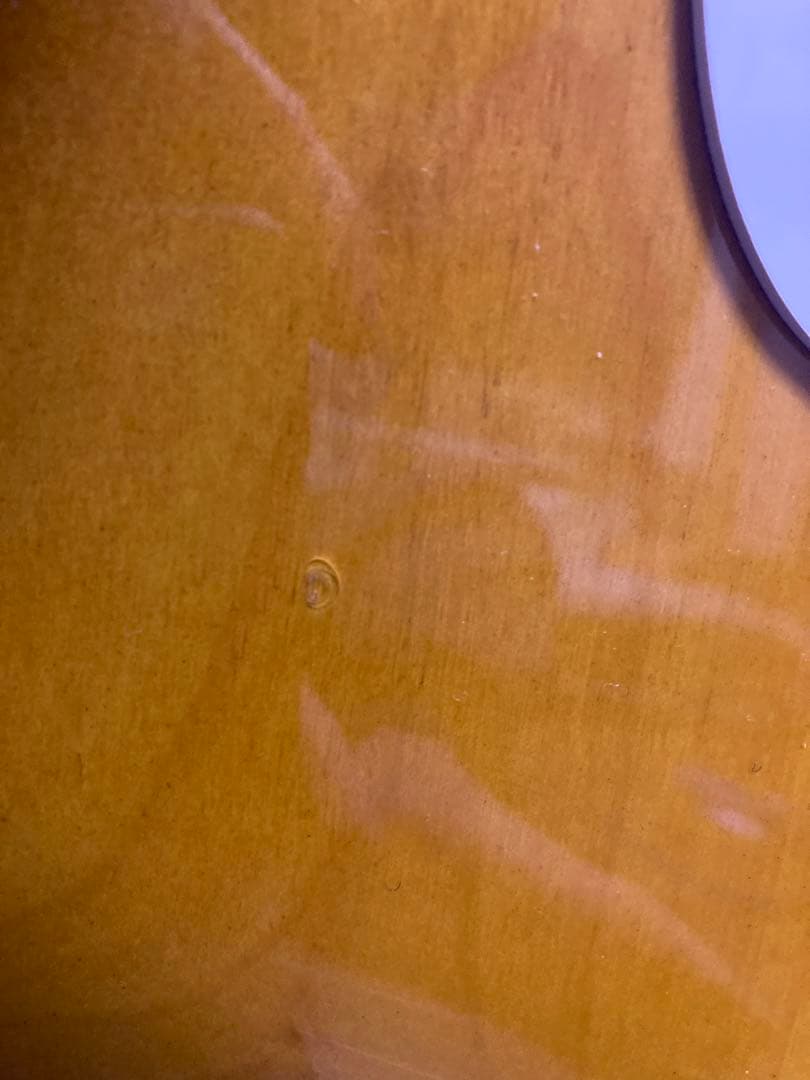 History Z1M-CFS 2TS 厚手専用ケース付き フジゲン製造