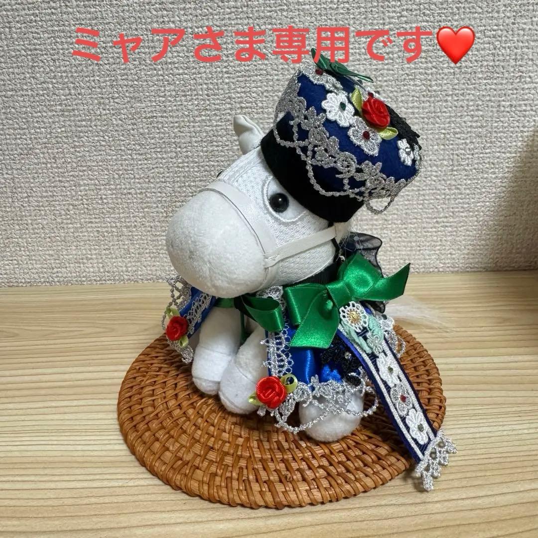 ミャアさま専用です。