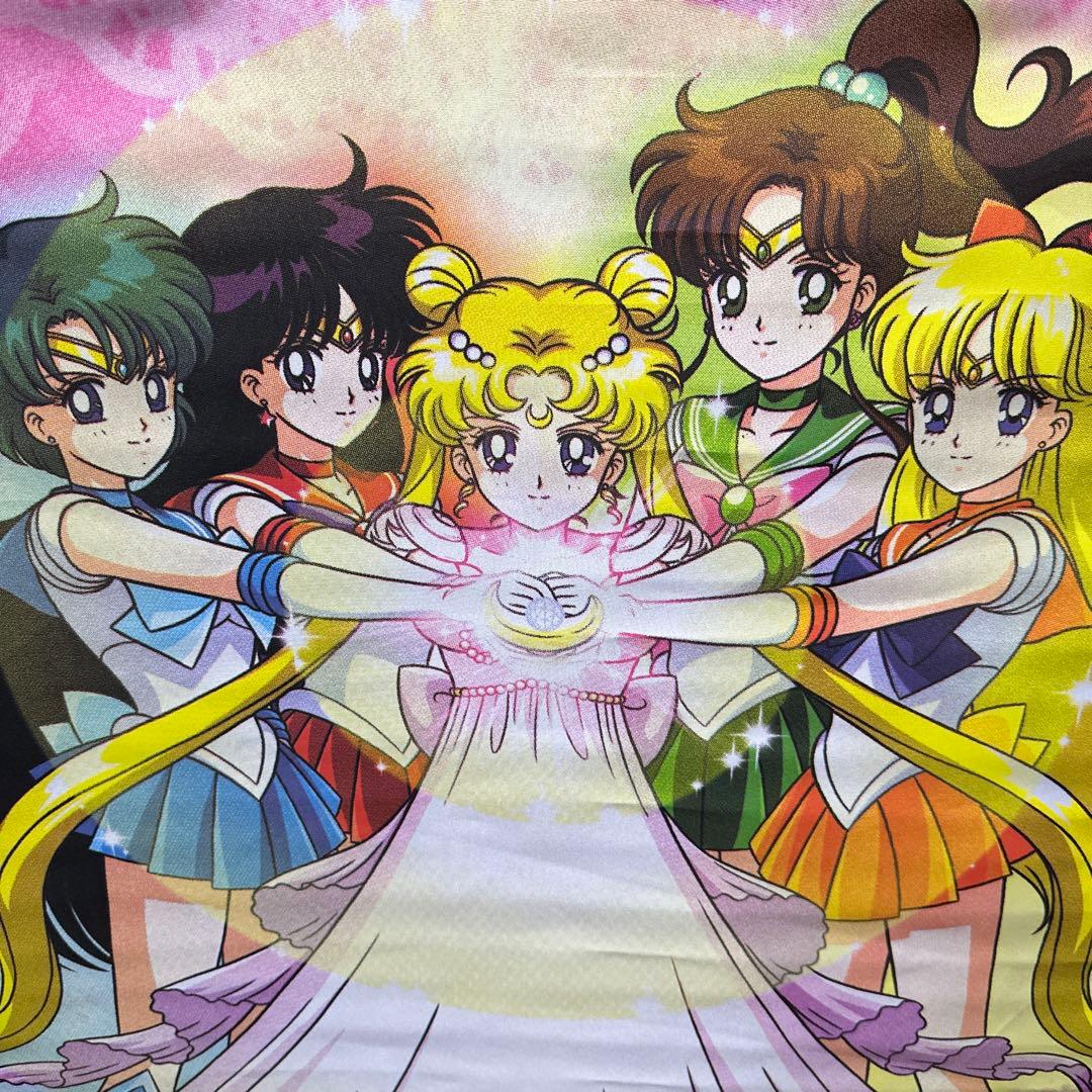 美少女戦士セーラームーン プレミアムウォールスクロール セーラー集結　大判