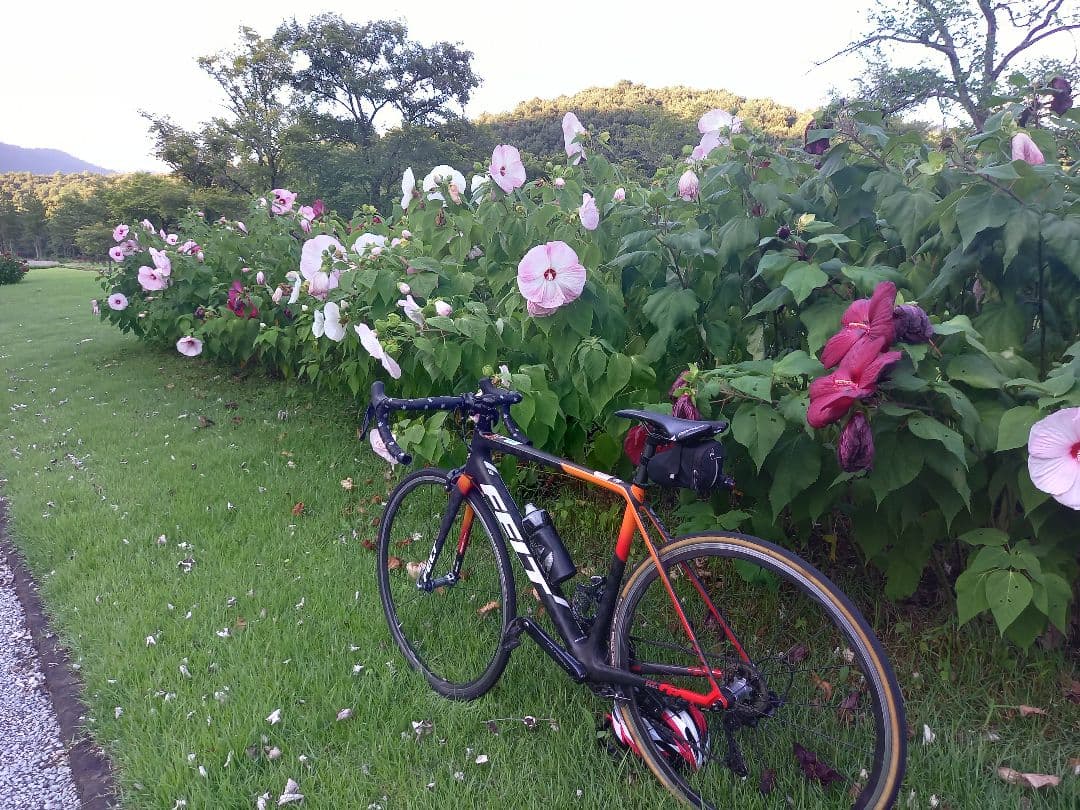 FELT ロードバイク FR3 2017モデル カーボン